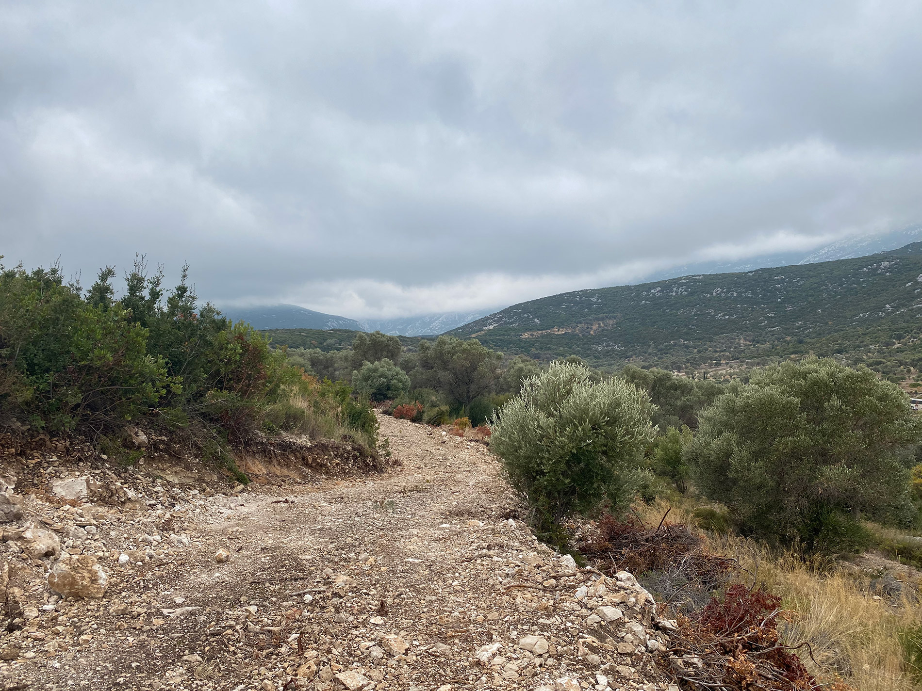 Eğlenhoca 0 Ada1121 Parsel 6280 M2 Tarla