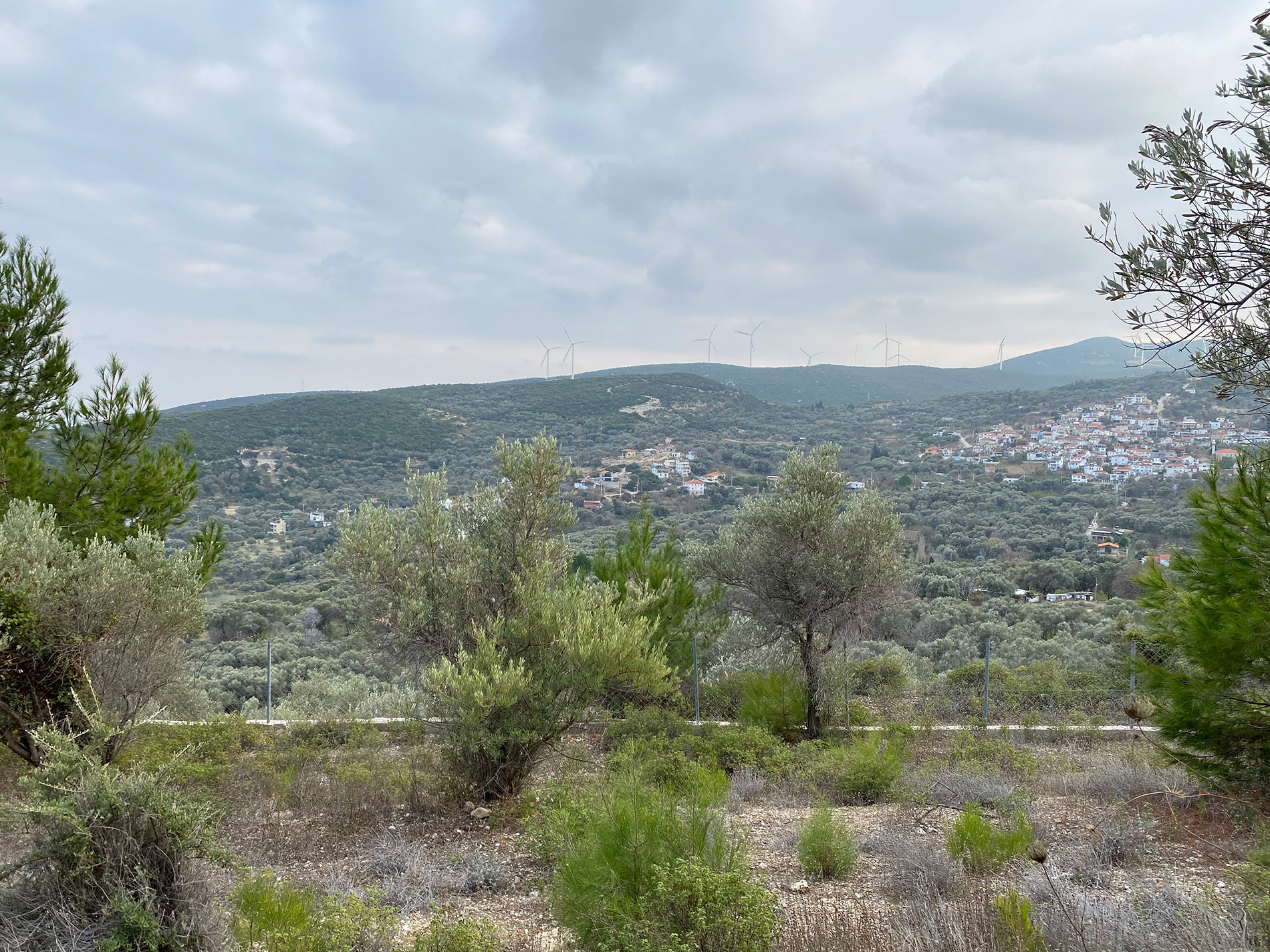 İnecik 0 Ada 852 Parsel 6326 M2 Tarla