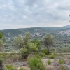 İnecik 0 Ada 852 Parsel 6326 M2 Tarla