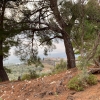 İnecik 0 Ada 852 Parsel 6326 M2 Tarla